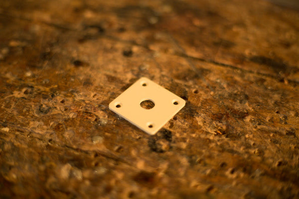 Jack Plate for LP's