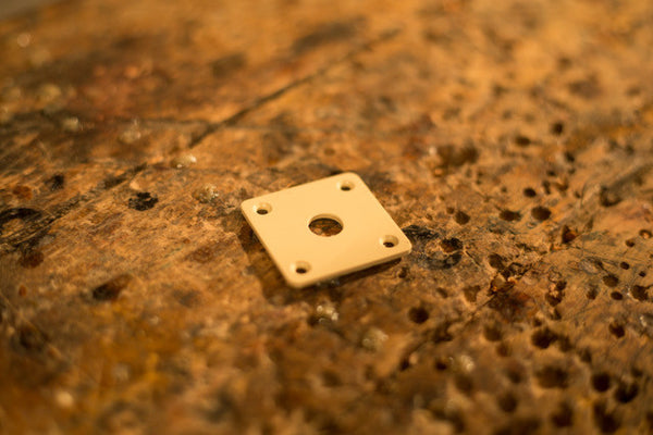 Jack Plate for LP's